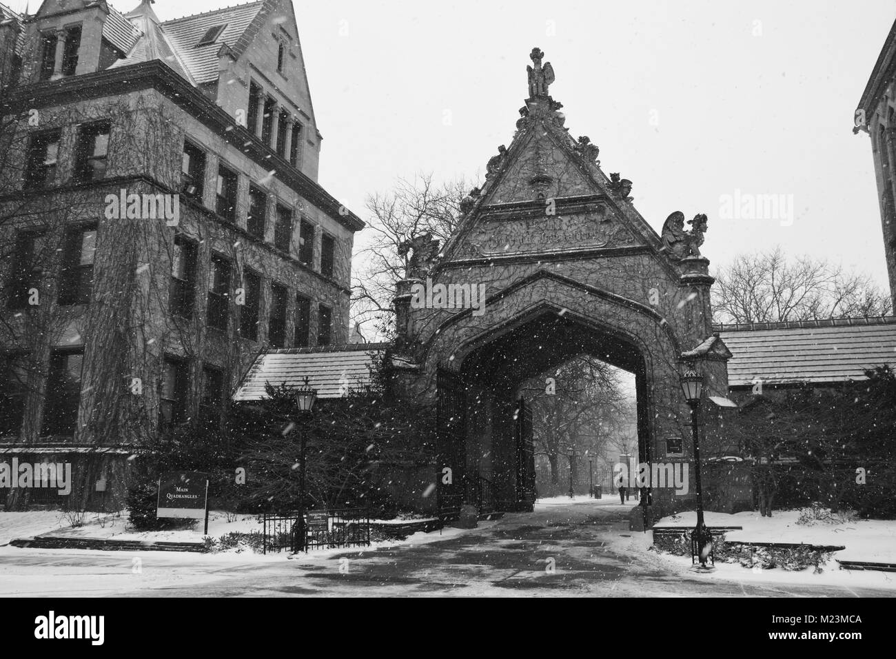 L'iconico Gate Cobb presso l'Università di Chicago conduce in uno dei campus Quads ed è una delle strutture originali presso la scuola. Foto Stock