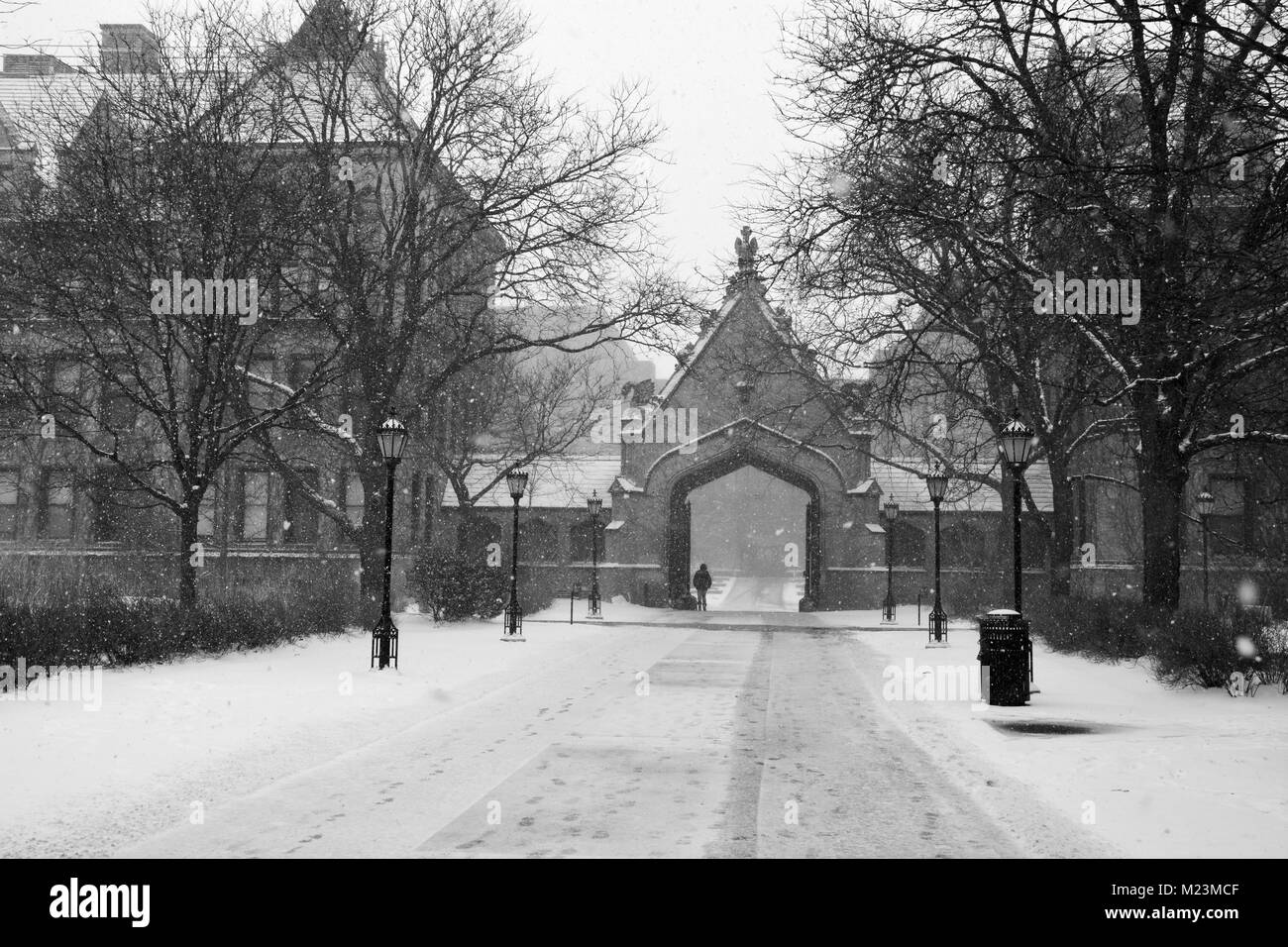 L'iconico Gate Cobb presso l'Università di Chicago conduce in uno dei campus Quads ed è una delle strutture originali presso la scuola. Foto Stock