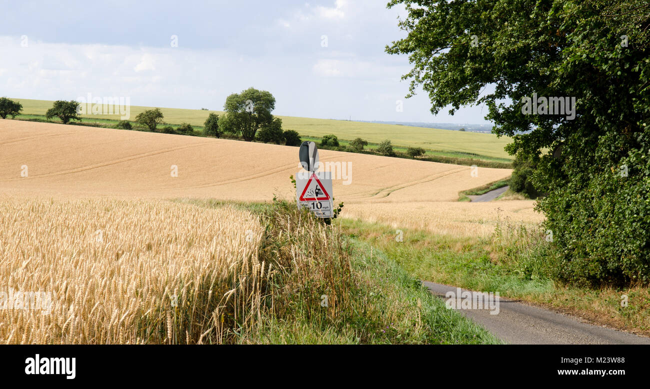 Un paese tagli di corsia attraverso i campi di colture in terreni coltivati a sud di Cambridge in Cambridgeshire ed Essex confine in Inghilterra. Foto Stock