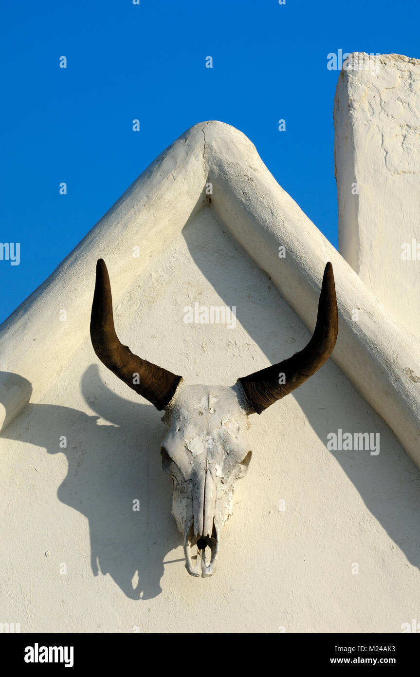 Bull corna e cranio appeso alla parete frontone di una tipica casa della Camargue in Les Saintes-Maries-de-la-Mer Provence Francia Foto Stock