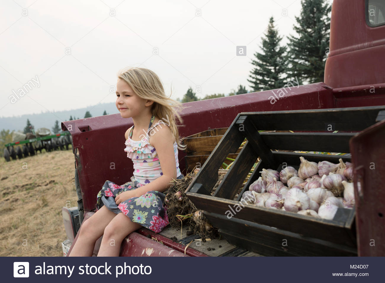 Carefree ragazza bionda seduta accanto alla cassa di raccolte aglio nel letto del carrello Foto Stock
