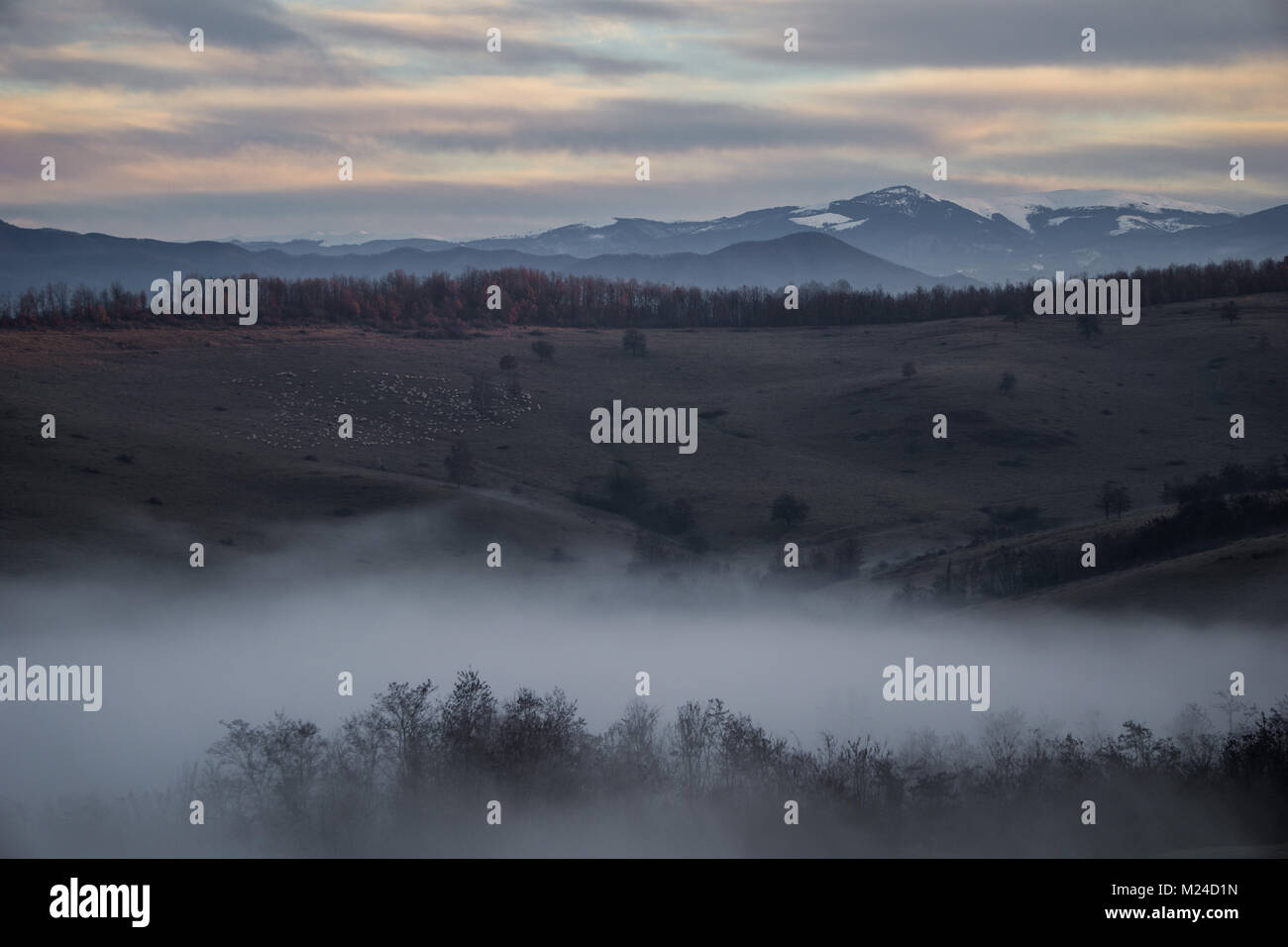 Ultima luce del giorno nel misterioso colline della Transilvania, Romania Foto Stock