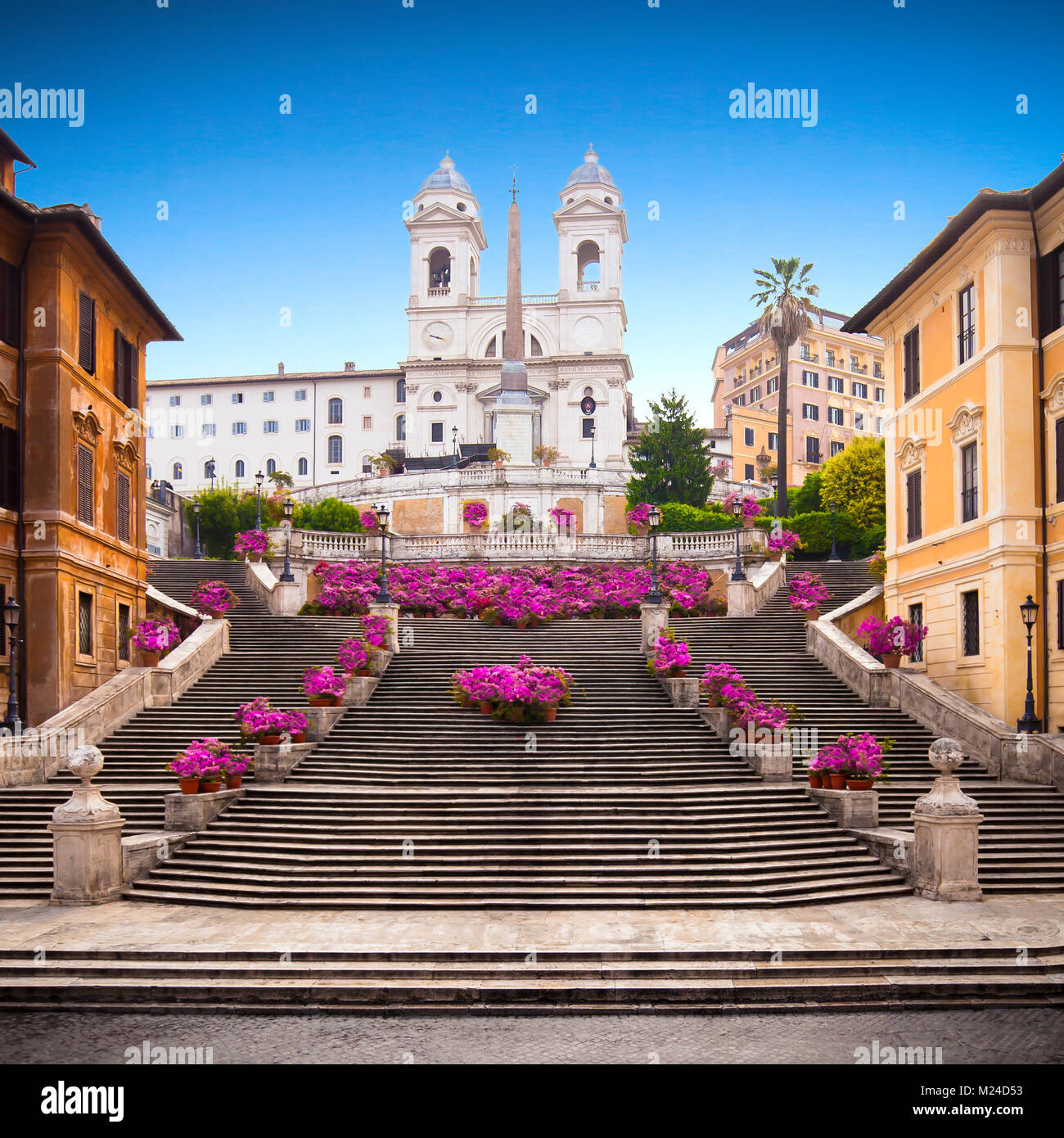 Scalinata di piazza di Spagna con azalee di sunrise, Roma Foto Stock