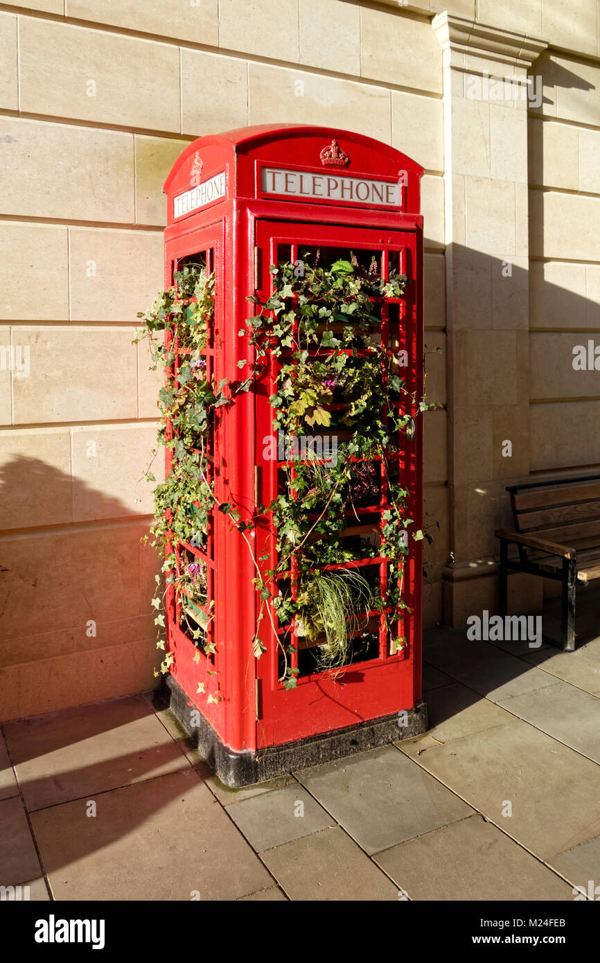 Un tradizionale British telefono rosso scatola riempita con piante in St Lawrence Street, Bath, Somerset, Inghilterra, Regno Unito Foto Stock