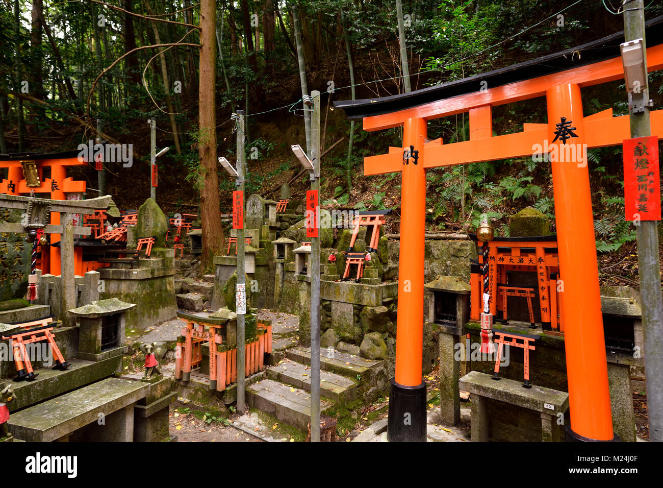 Migliaia di piccole culto privato santuari Shintoisti, Tsuka, A Fushimi testa Inari-Taisha Santuario di Fushimi Ward, Kyoto, Giappone Foto Stock