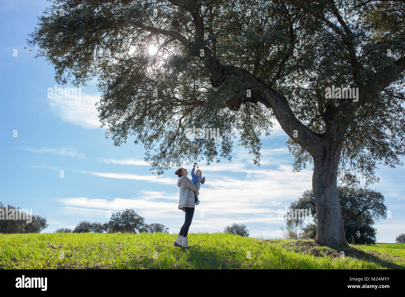 La madre e il bambino giocando in acorn tree. Godersi la natura in concetto di famiglia Foto Stock