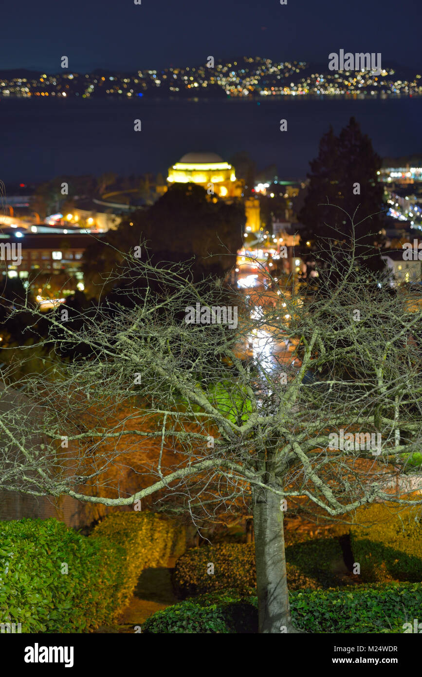 Il Palazzo delle Belle Arti visto dalla strada di Lione passi, San Francisco CA Foto Stock