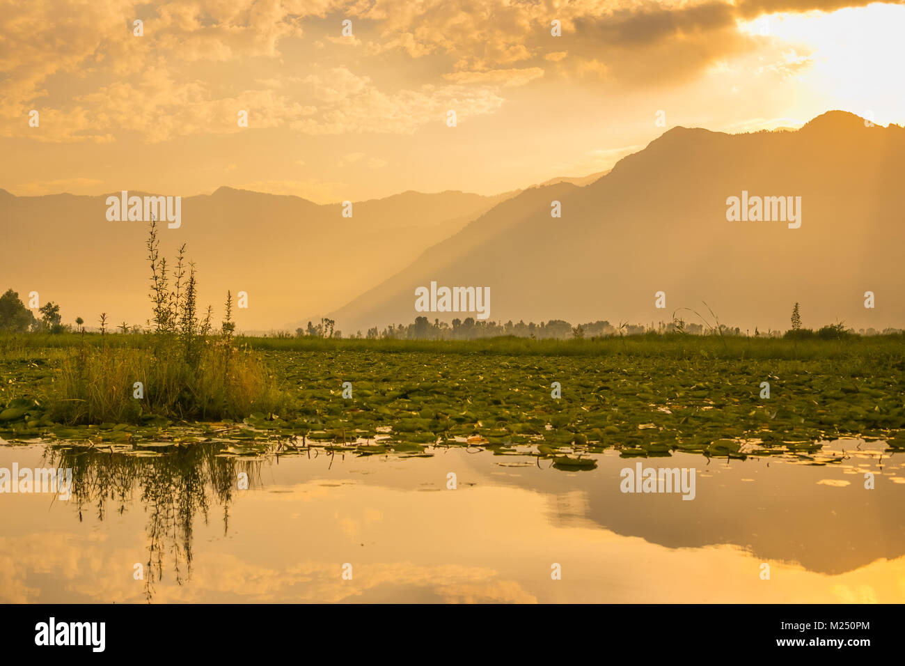 Sunrise su dal lago, Kashmir India Foto Stock