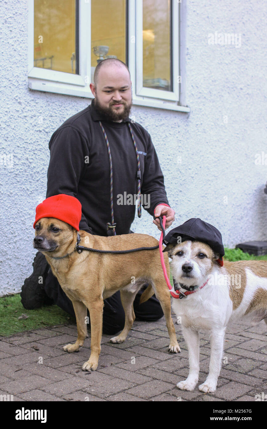 2 cani di salvataggio da parte di amici del ricovero per cani, Winson e Bander con volontari Dale Kitch, 25, nazionali in materia di vestire il vostro animale domestico al giorno. Foto Stock