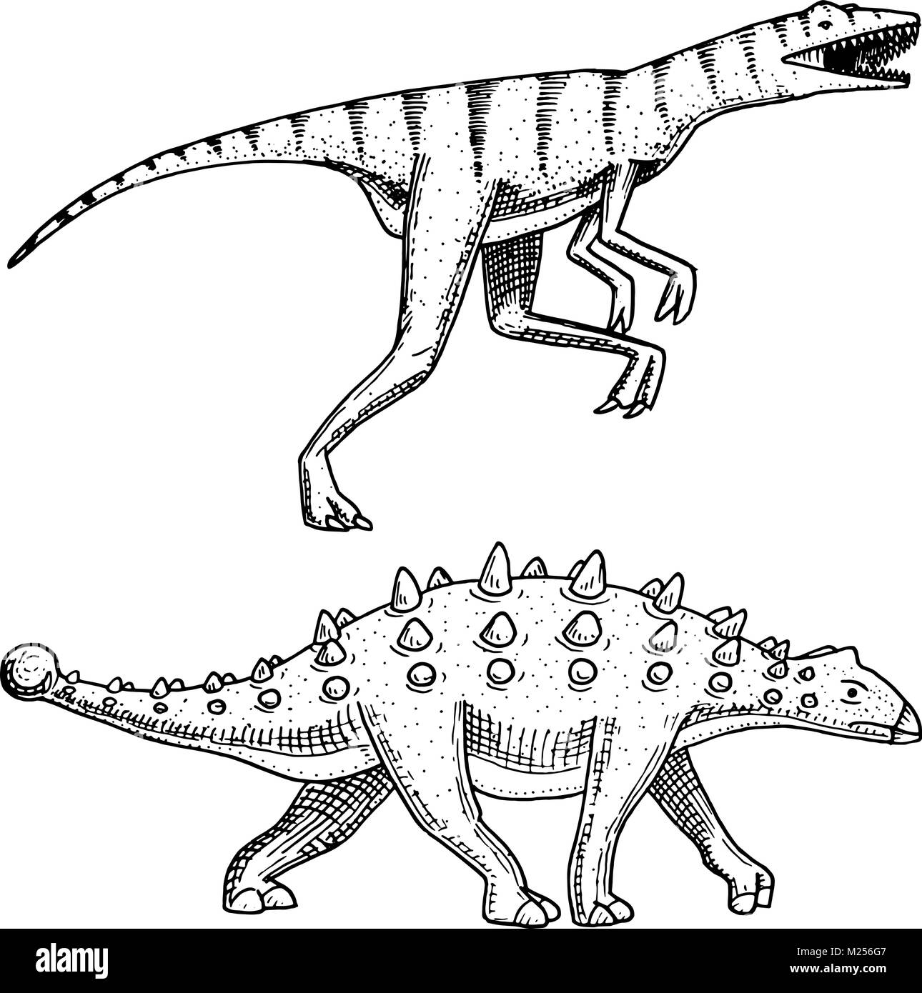 Dinosauro Ankylosaurus, Talarurus, Velociraptor, Euoplocephalus, Saltasaurus, scheletri, fossili. Rettili preistorici, animale inciso disegnati a mano il vettore. Illustrazione Vettoriale