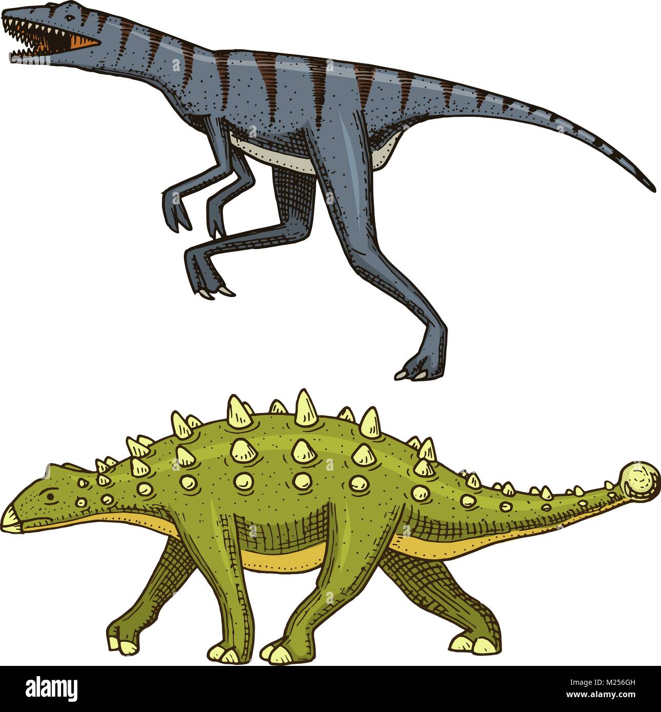Dinosauro Ankylosaurus, Talarurus, Velociraptor, Euoplocephalus, Saltasaurus, scheletri, fossili. Rettili preistorici, animale inciso disegnati a mano il vettore. Illustrazione Vettoriale