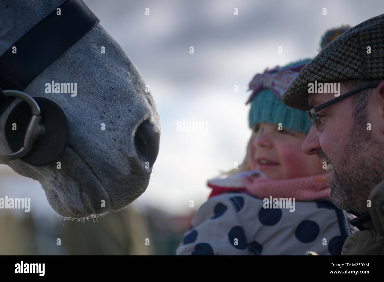 Milborne St Andrew, Dorset, Regno Unito, 4 febbraio 2018. Una giovane ragazza incontra la caccia cavalli davanti a sud Dorset Hunt punto-punto di incontro di gara. © David Partridge / Alamy Live News Foto Stock