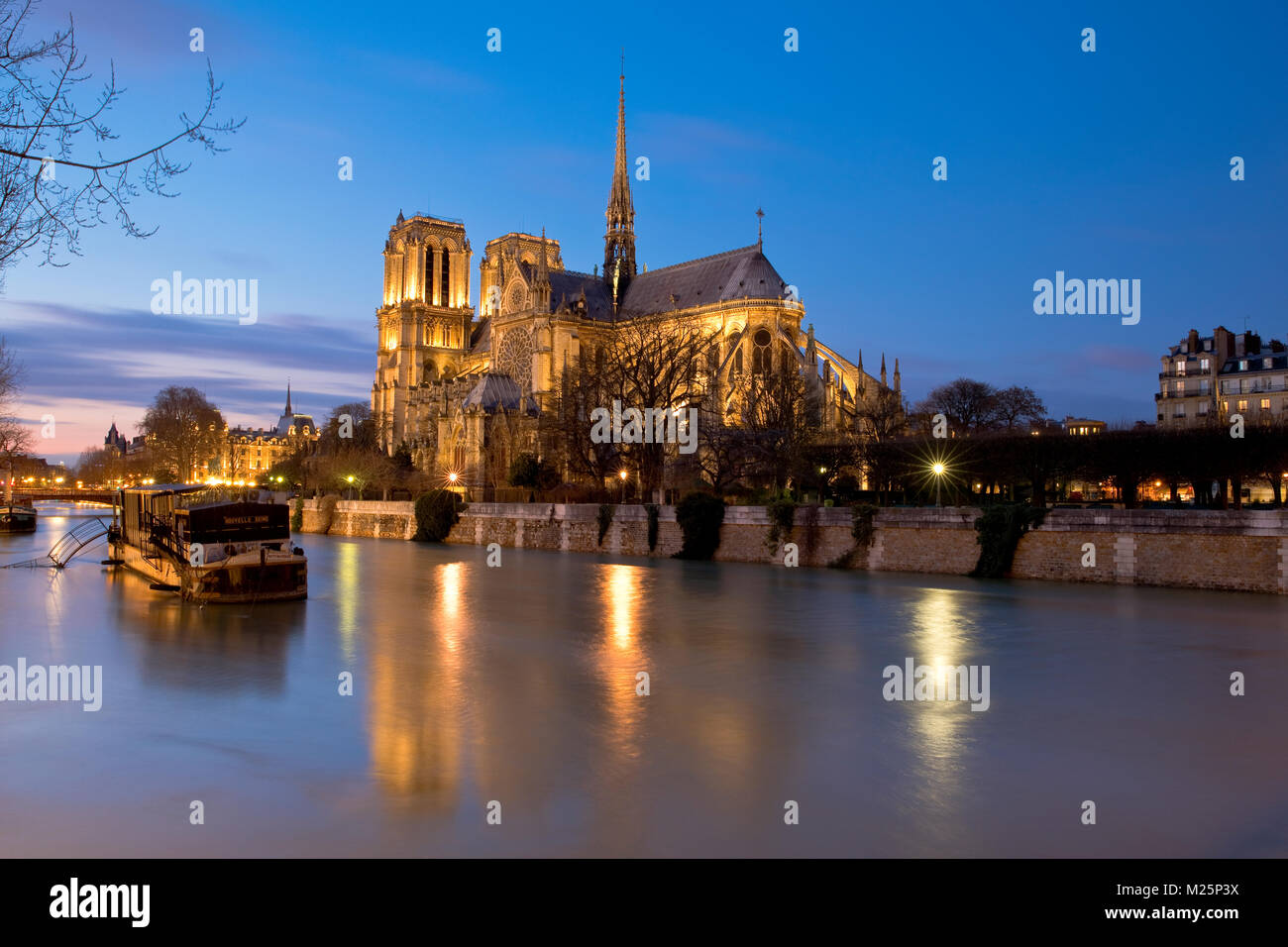 Le inondazioni del fiume Senna vicino a Notre Dame de Paris, Île de la Cité, Francia durante l'inverno 2018 Foto Stock