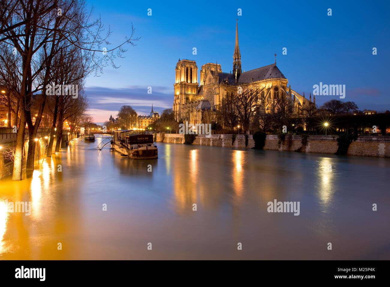 Le inondazioni del fiume Senna vicino a Notre Dame de Paris, Île de la Cité, Francia durante l'inverno 2018 Foto Stock
