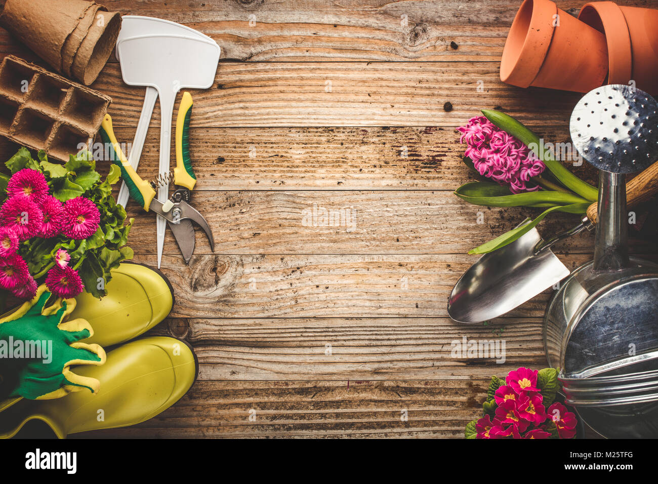 Utensili da giardinaggio e fiore su sfondo di legno Foto Stock