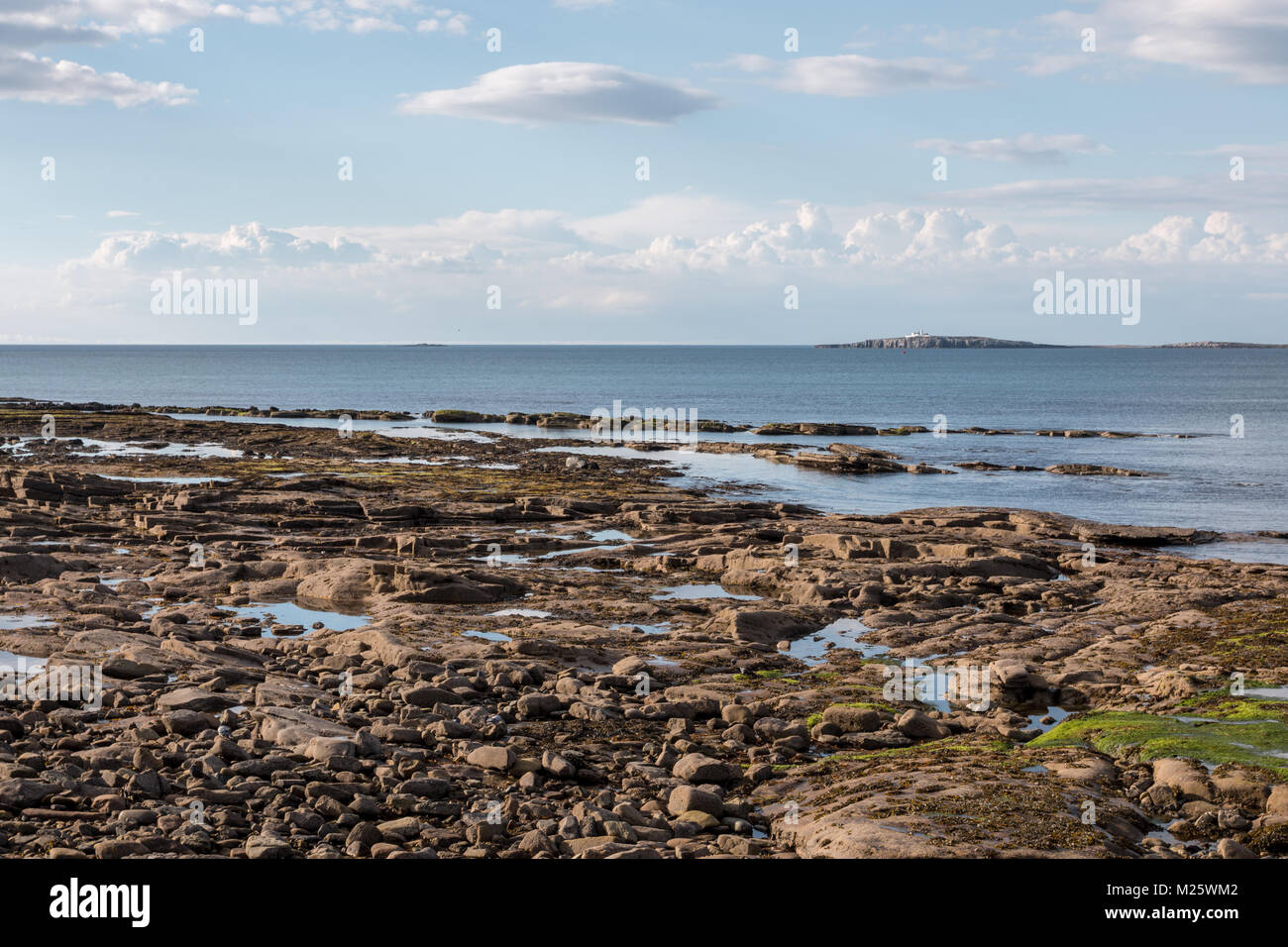 Giornata di sole su una spiaggia rocciosa con le isole farne a distanza Foto Stock