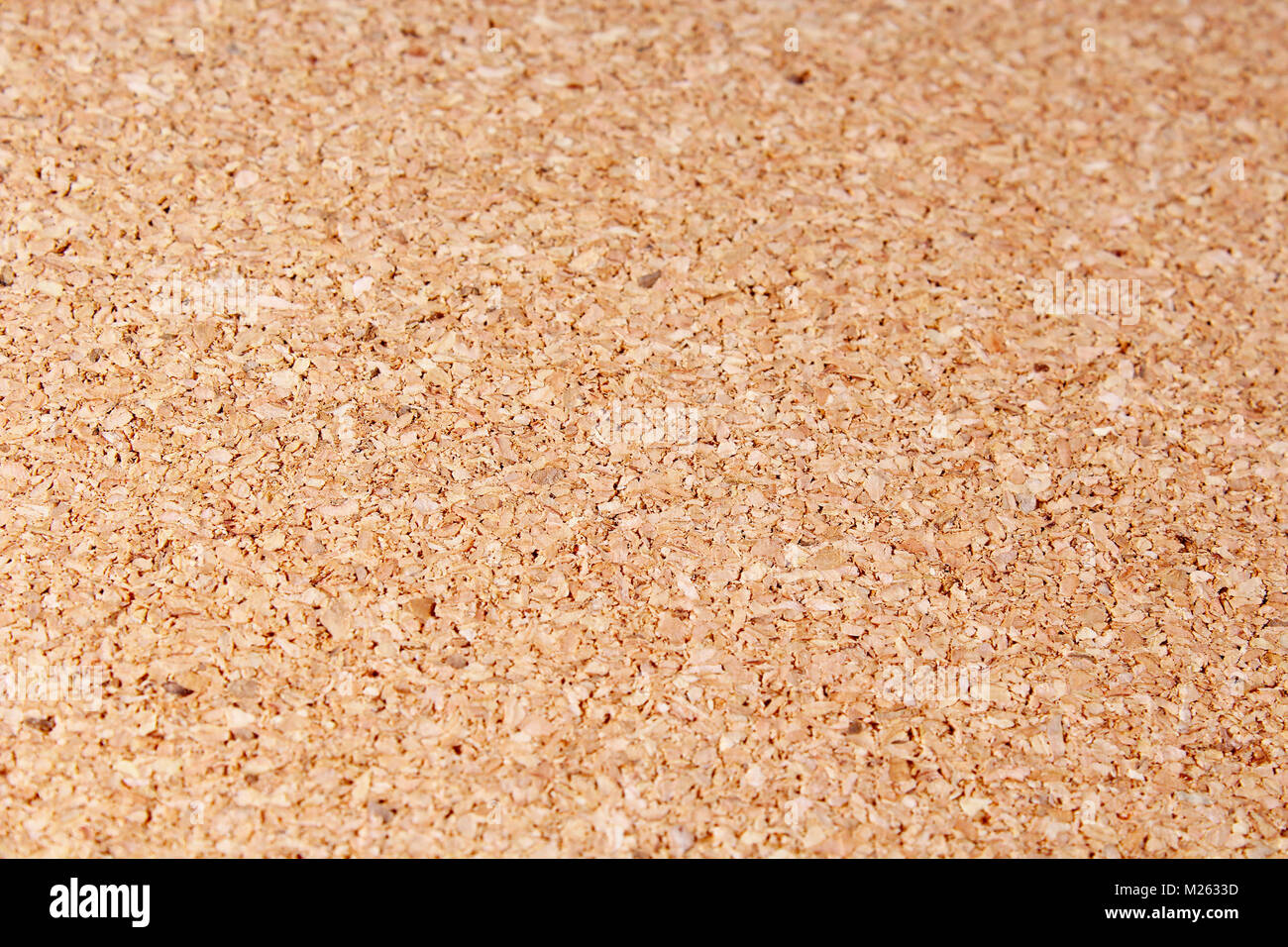 Corkwood sughero legno closeup texture pattern come sfondo. Foto macro. Foto Stock