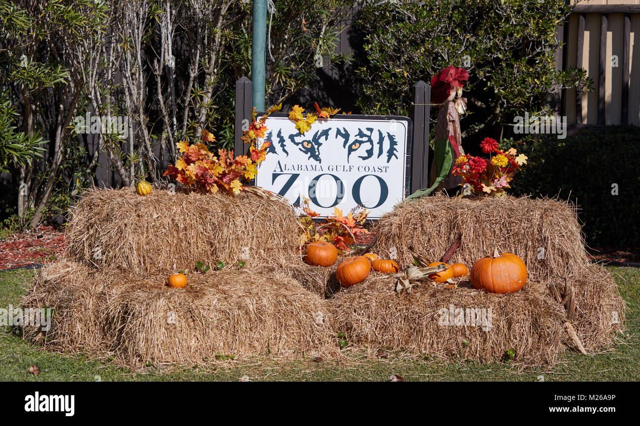 Cartello in Alabama Gulf Coast Zoo decorata per l'autunno Foto Stock