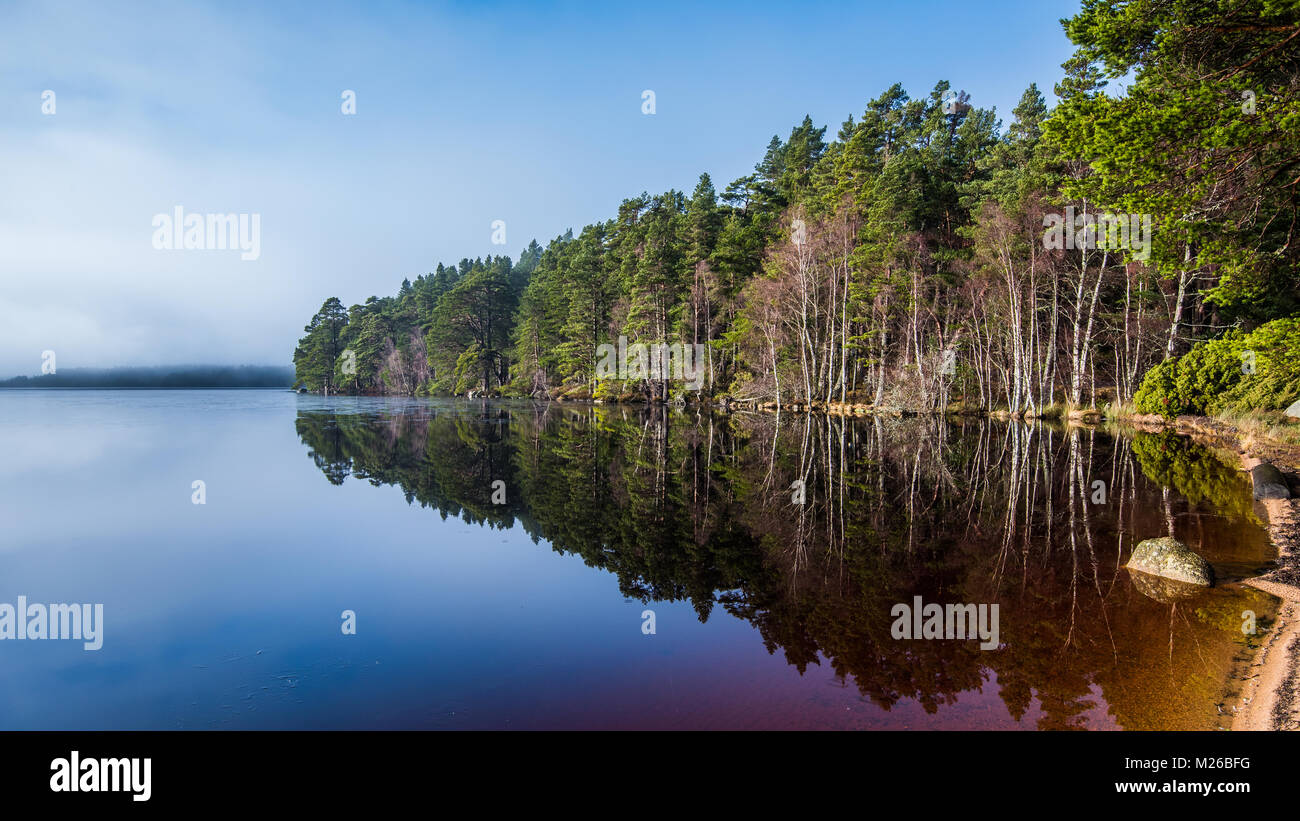 Loch Garten nel Strathspey area del Parco Nazionale di Cairngorms, in Scozia. È circondato da alte Caledonian pini del Abernethy F Foto Stock