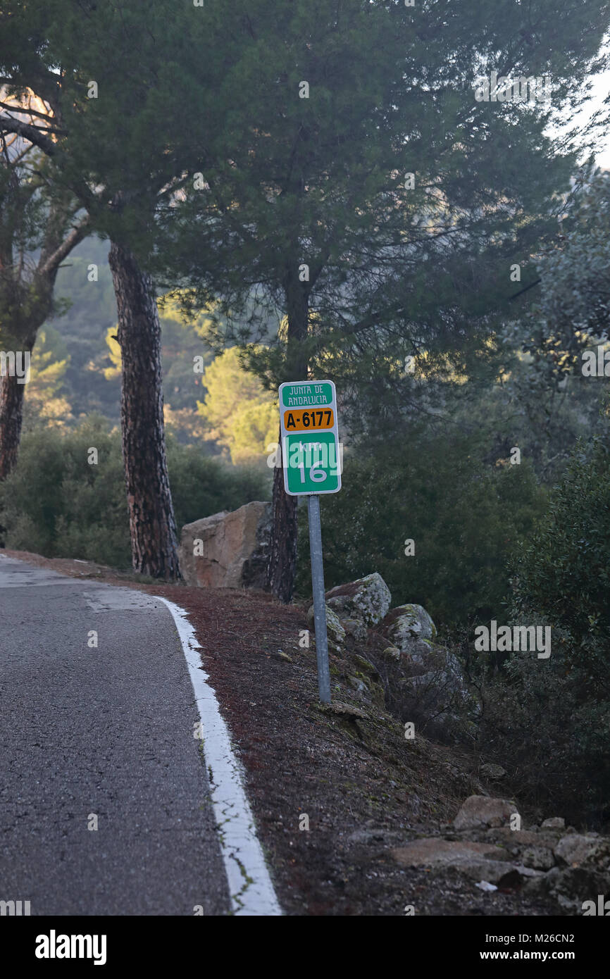 Cartello stradale per un 6177 su strada di montagna nelle prime ore del mattino il Parque Natural Sierra de Andujar, Jaen, Spagna gennaio Foto Stock