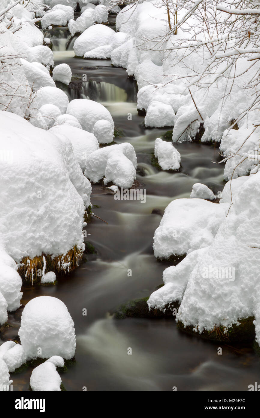 Lunga esposizione della Kleine Ohe, un piccolo ruscello che scorre attraverso i boschi innevati nel Parco Nazionale della Foresta Bavarese in Baviera, Germania. Foto Stock