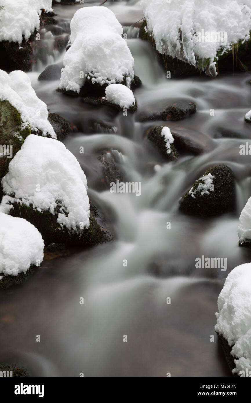 Lunga esposizione della Kleine Ohe, un piccolo ruscello che scorre attraverso i boschi innevati nel Parco Nazionale della Foresta Bavarese in Baviera, Germania. Foto Stock