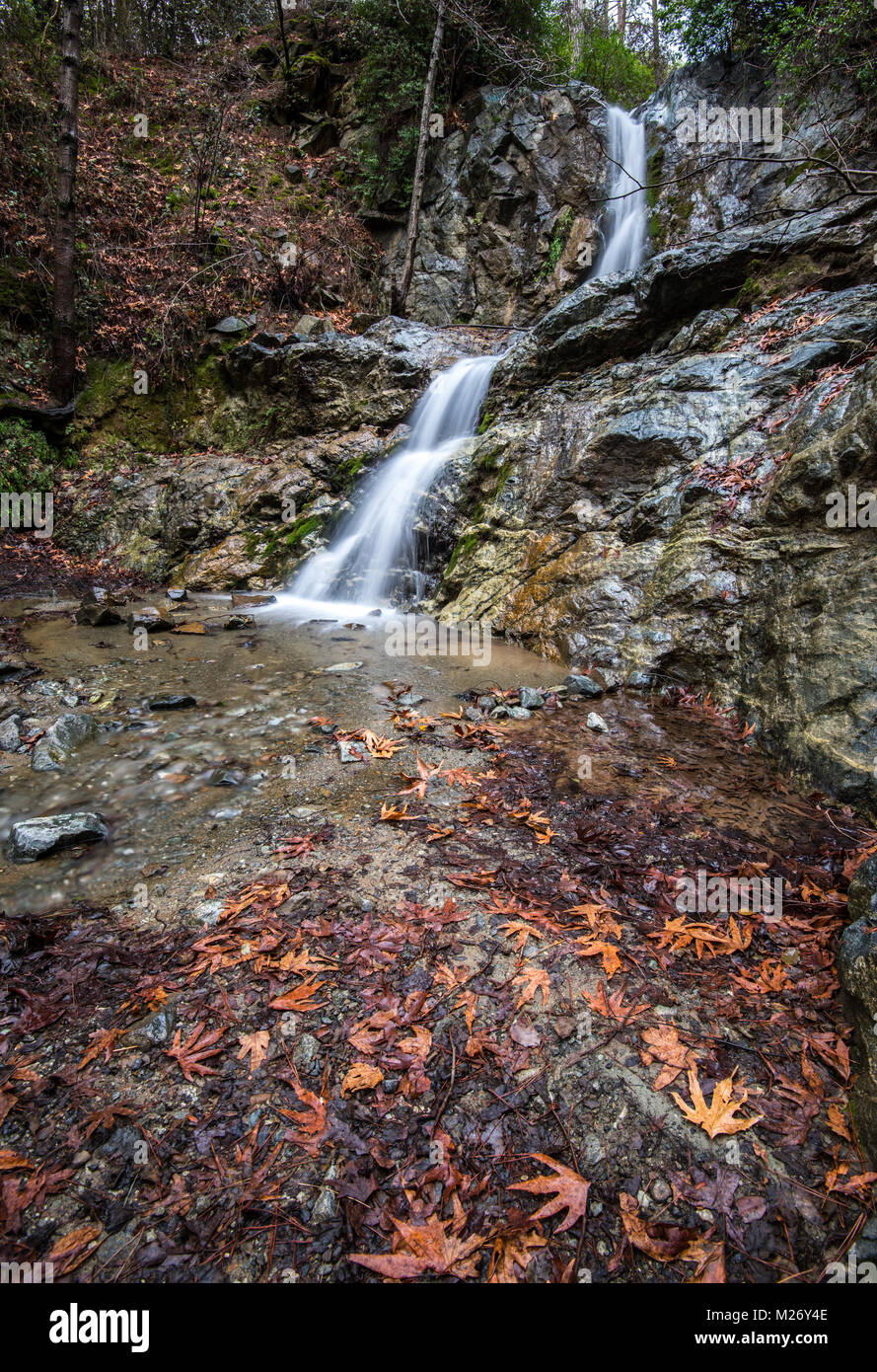 Bella Cascata di Mesa Potamos in autunno giallo con foglie di acero sul terreno a Monti Troodos in Cipro. Foto Stock