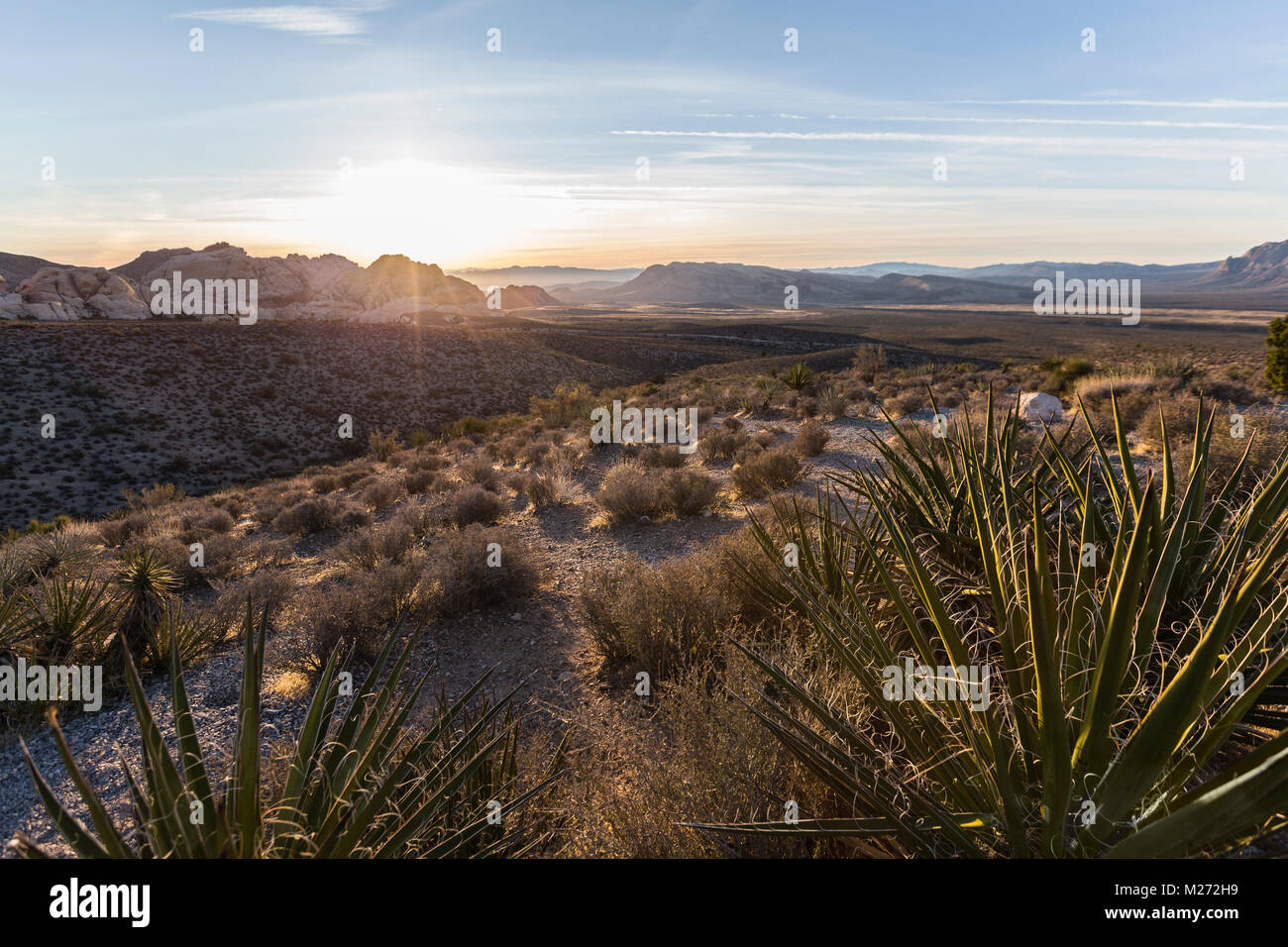 Alba vista da scenic loop si affacciano al Red Rock Canyon National Conservation Area vicino a Las Vegas in Nevada. Foto Stock