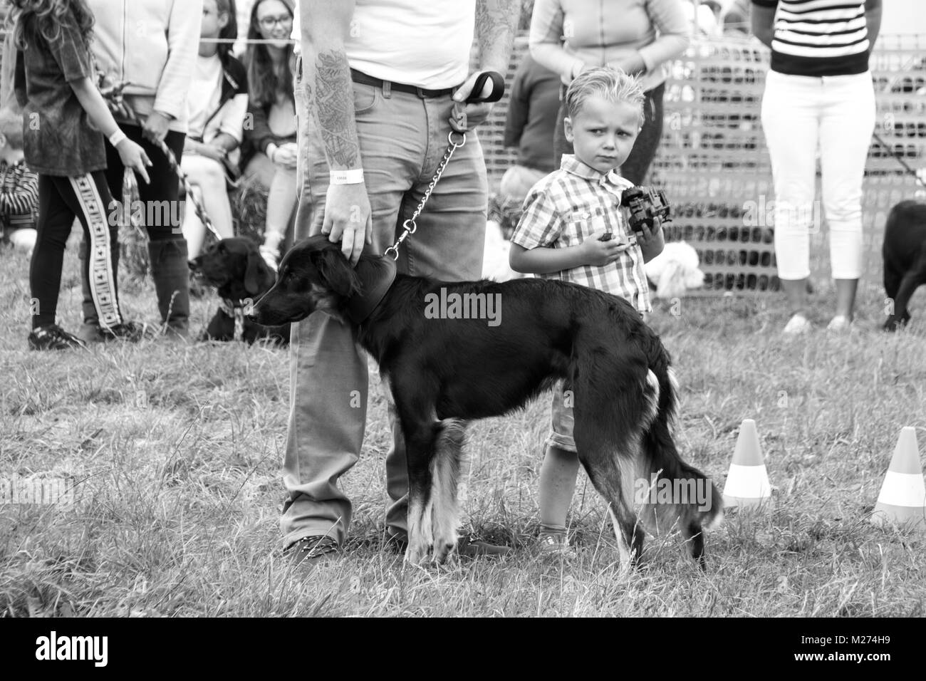 Un cane è rappresentato da un uomo con un braccio tatooed, e un giovane ragazzo in un paese dog show in Hampshire Foto Stock