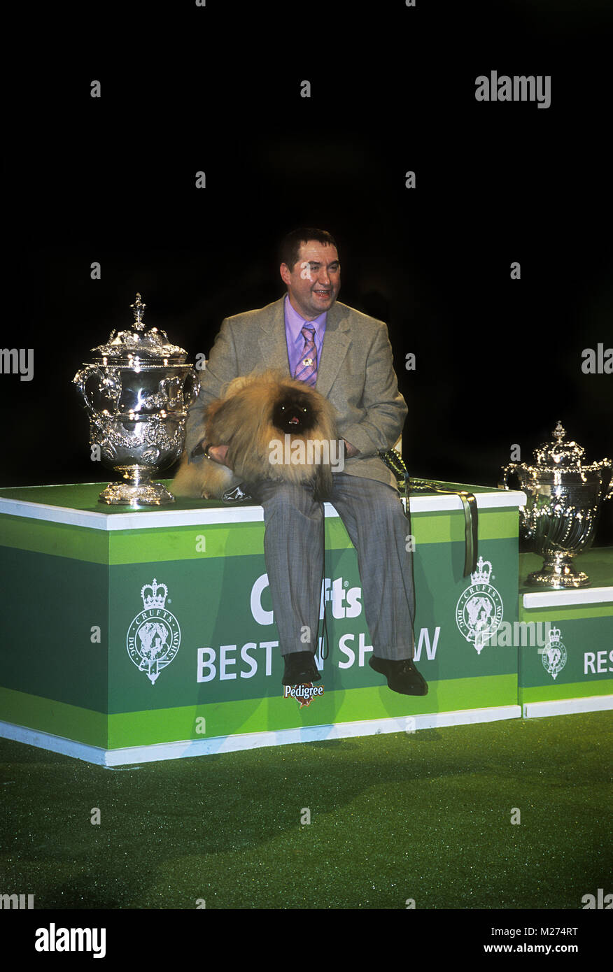 Il crufts bis 2003 pekingese ch yakee una pericolosa liaison con albert easdon Foto Stock