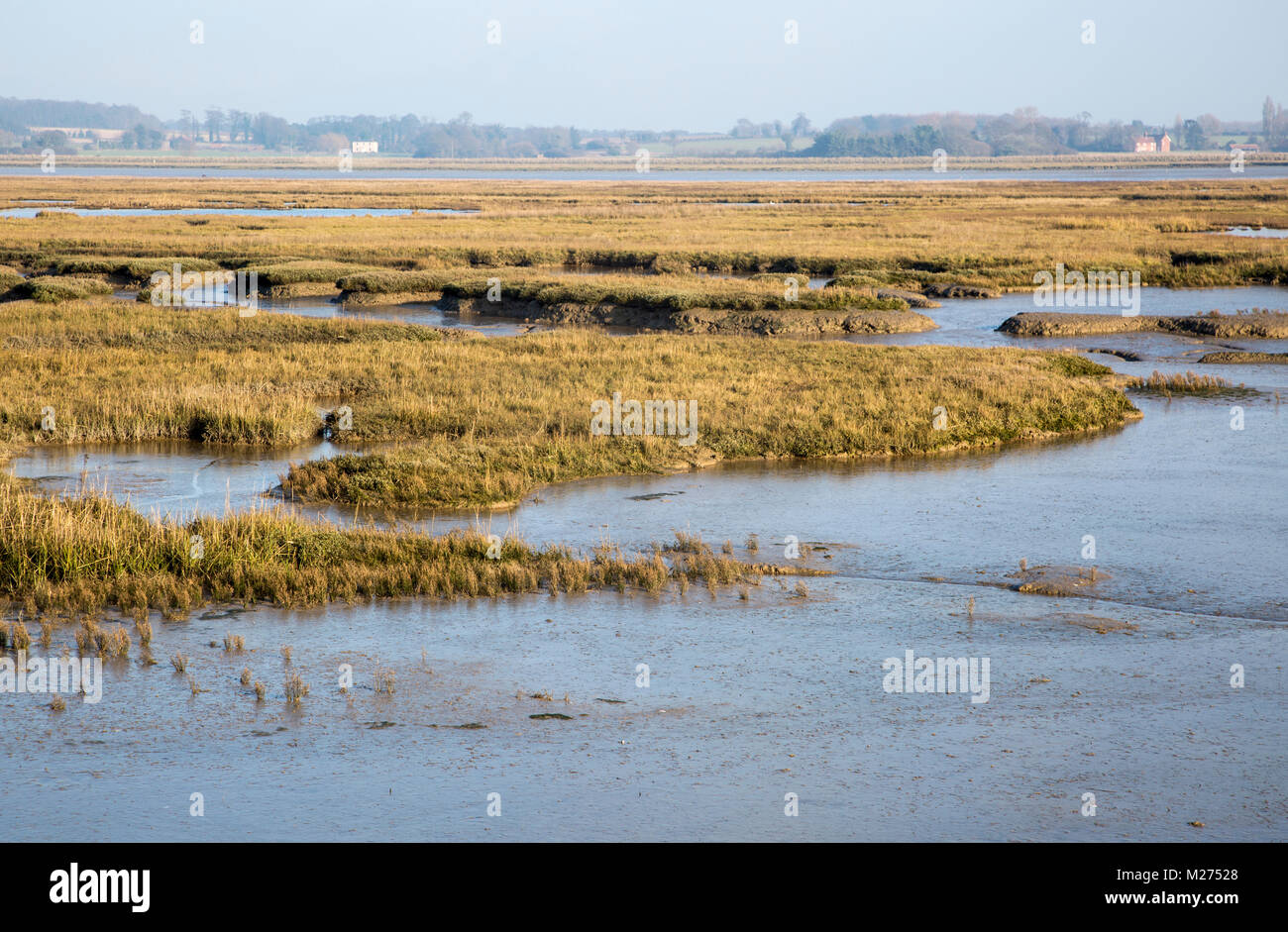 La Palude Salata saltings canali di fango la bassa marea fiume Deben, vicino Falkenham, Suffolk, Inghilterra, Regno Unito Foto Stock