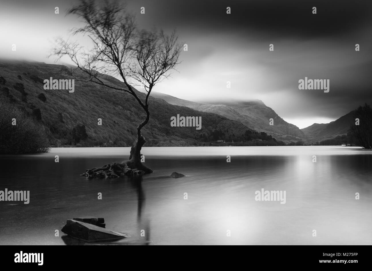 Alba/tramonto in Llyn pardarn Galles Foto Stock
