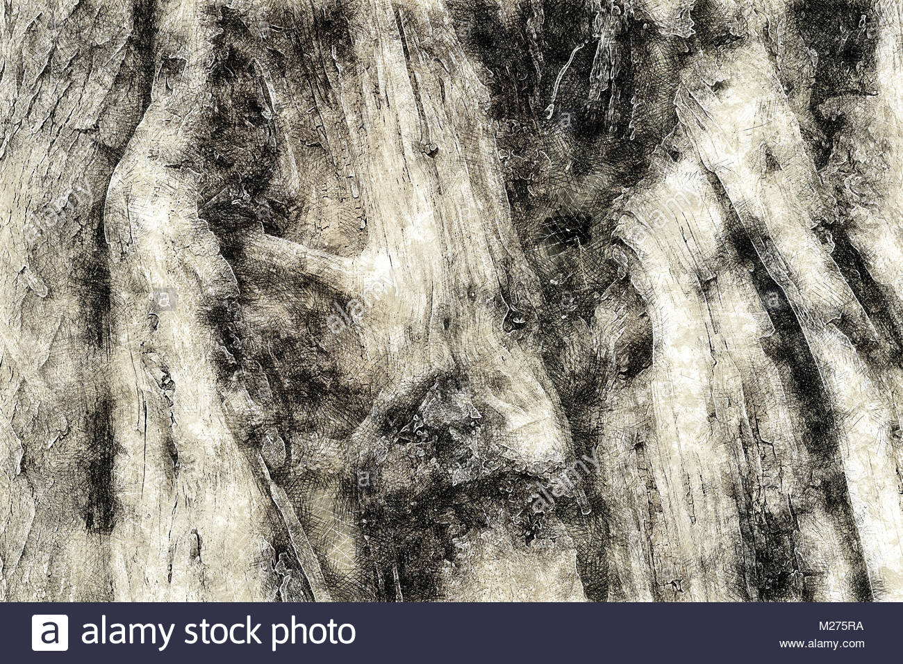 Illustrazione creativa abstract texture legno dettaglio grezzi ... Matite legno grezzo