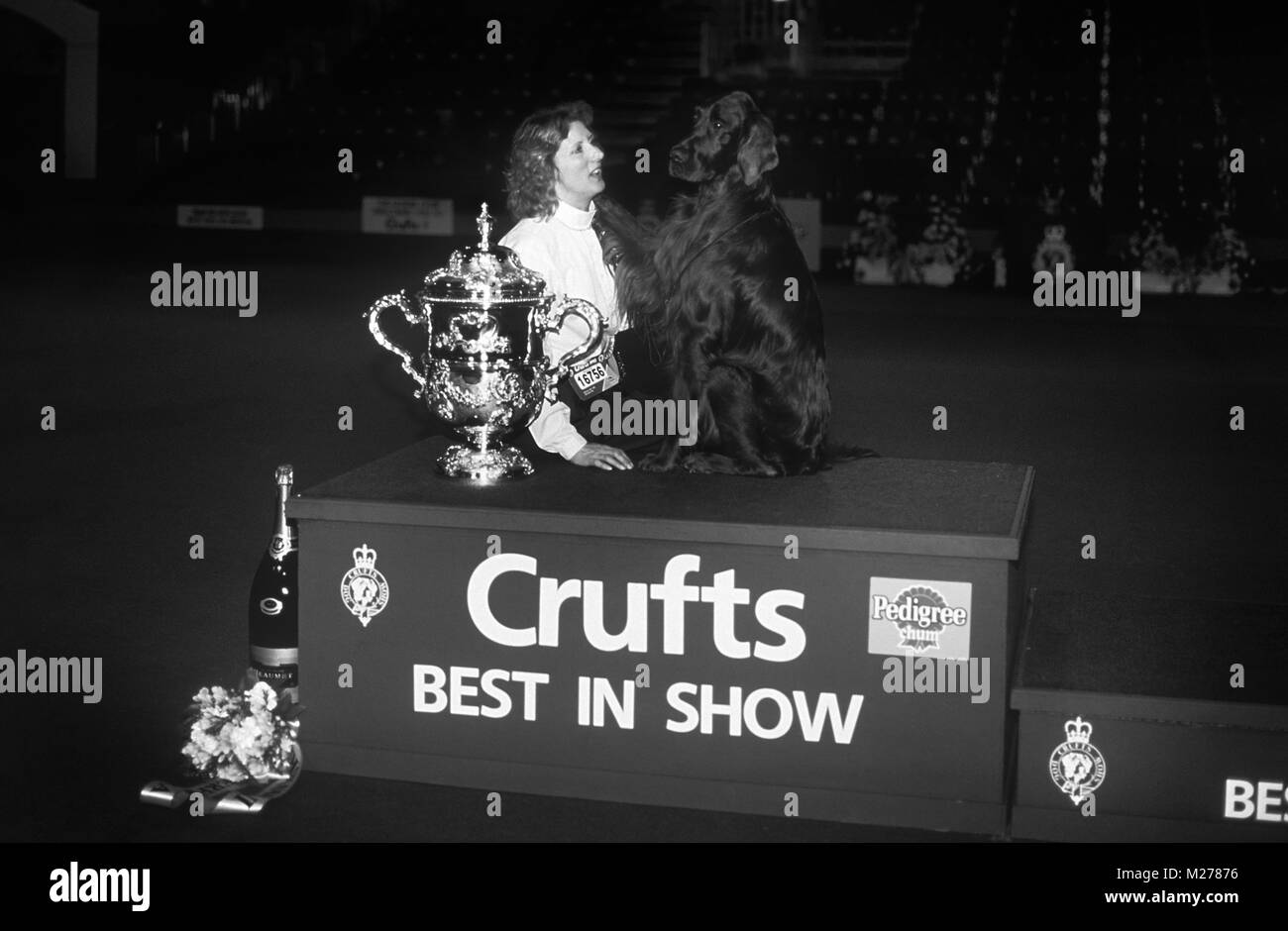 Setter Irlandese, sh ch danaway debonair con la sua zampa sul proprietario, Jackie lorimer, dopo aver vinto il bis Crufts 1993 Foto Stock