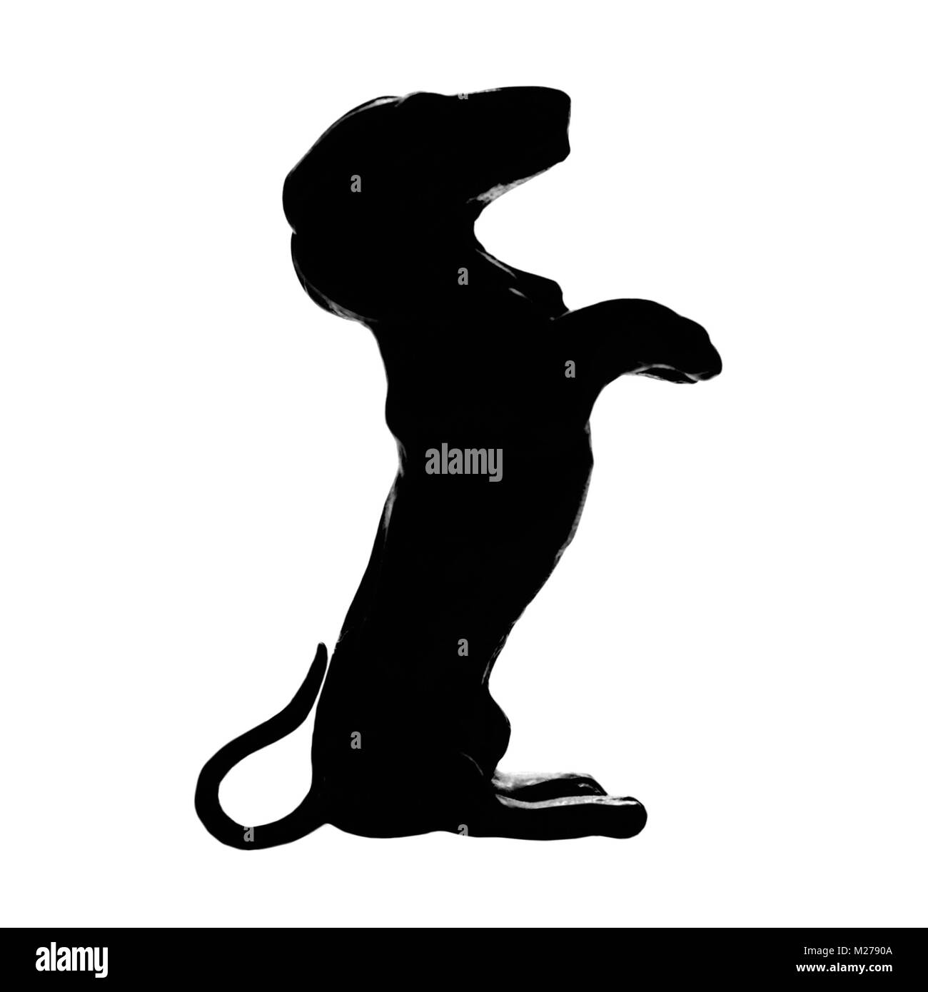 Bassotto badger cane di razza, isolato pedigree silhouette, verticale, illustrazione dettagliata di grandi dimensioni macro nero closeup, kennel club di esclusione di concetto Foto Stock