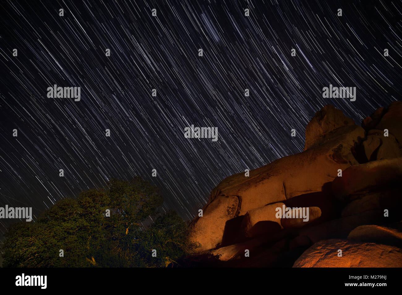 Tracce stellari a Joshua Tree National Park Foto Stock