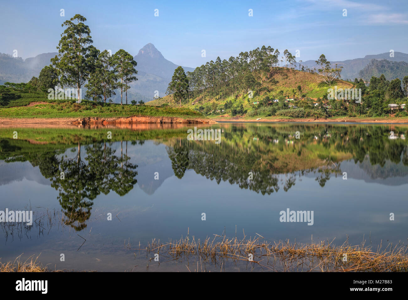 Adam's Peak, Maskeliya, Ratnapura, Sri Lanka, Asia Foto Stock