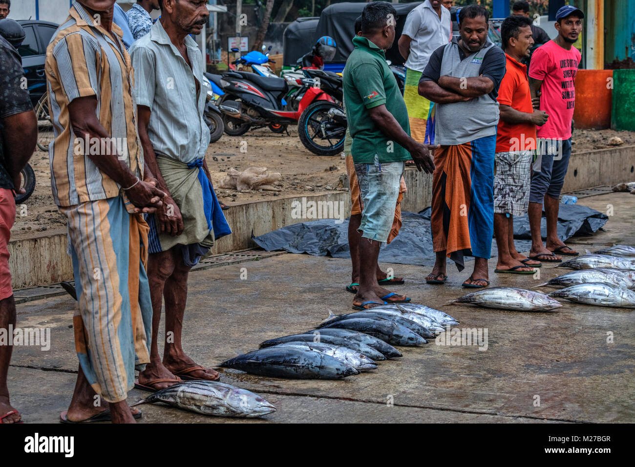Mirissa, porto, Sri Lanka, Asia Foto Stock