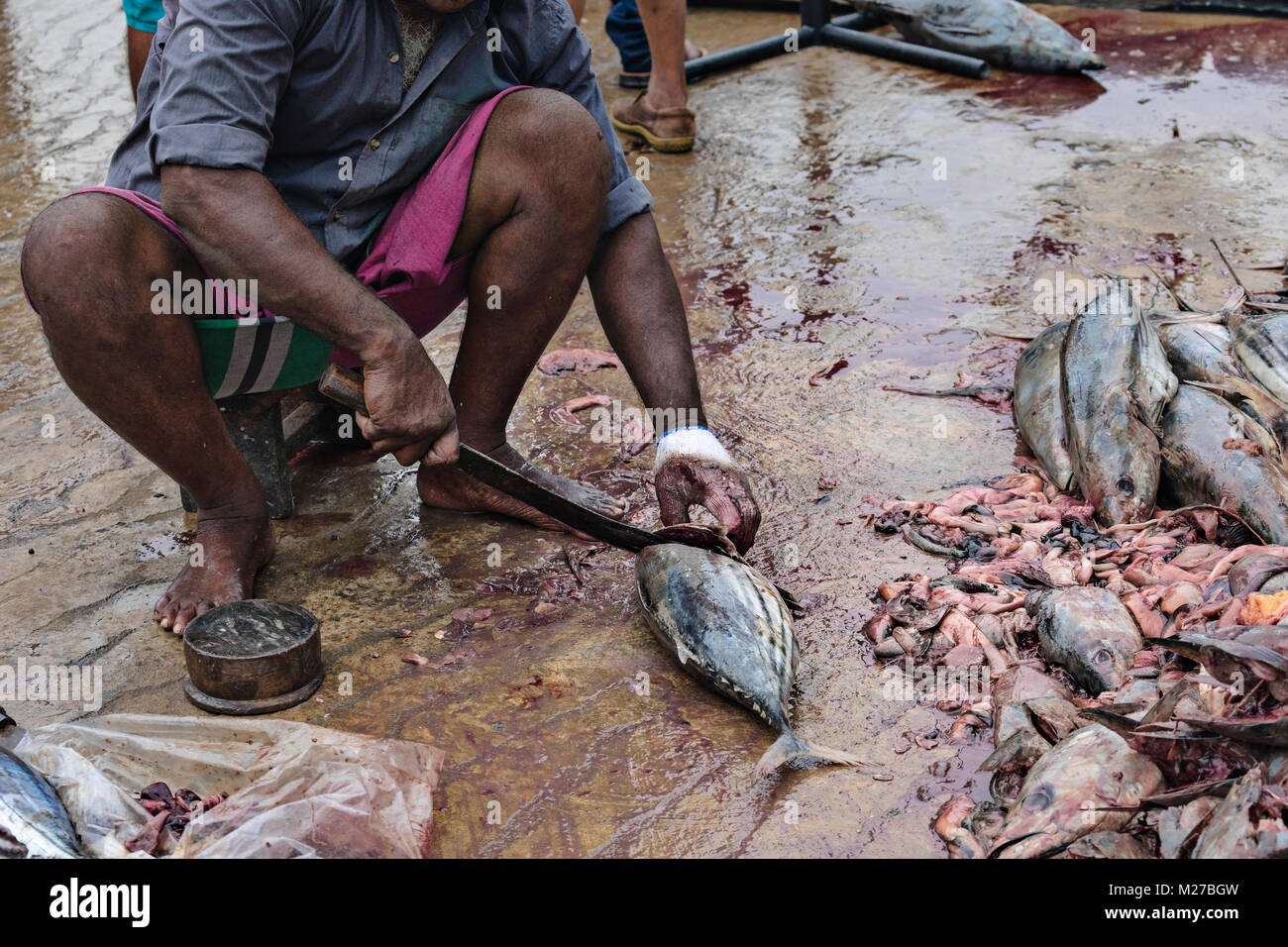 Mirissa, porto, Sri Lanka, Asia Foto Stock