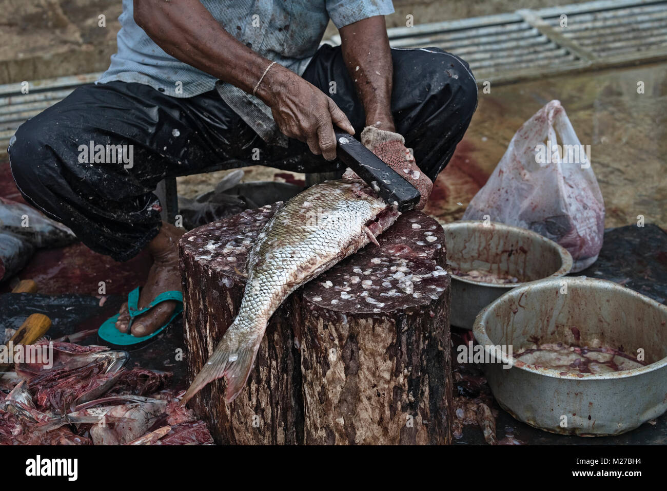 Mirissa, porto, Sri Lanka, Asia Foto Stock
