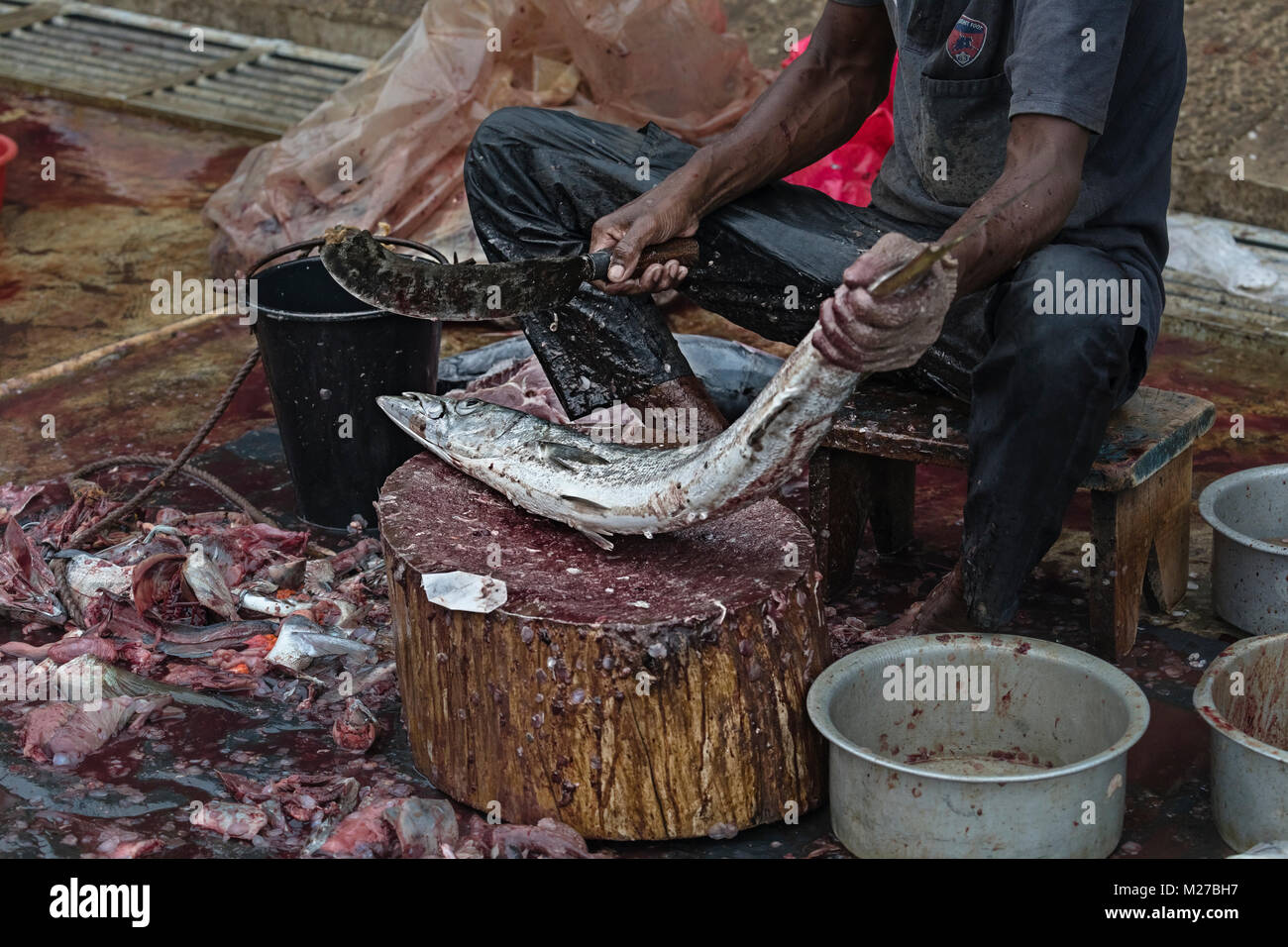 Mirissa, porto, Sri Lanka, Asia Foto Stock