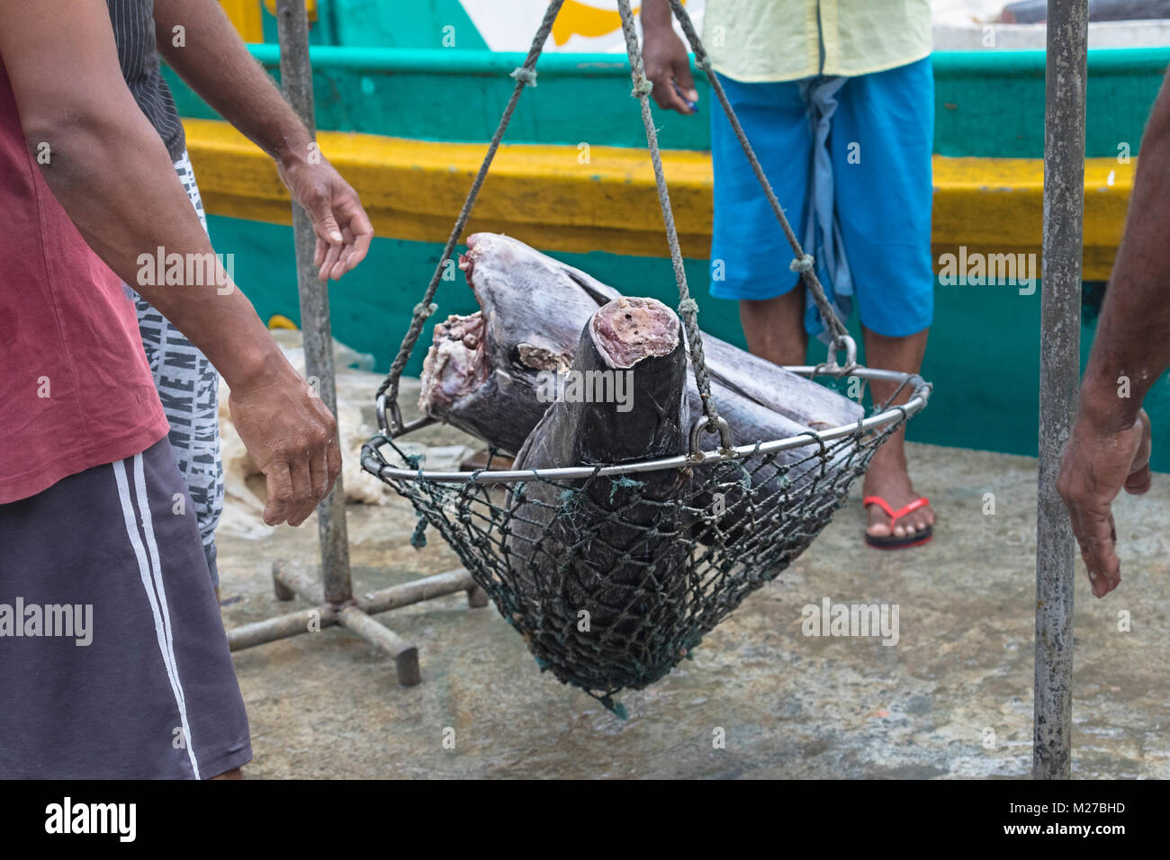 Mirissa, porto, Sri Lanka, Asia Foto Stock