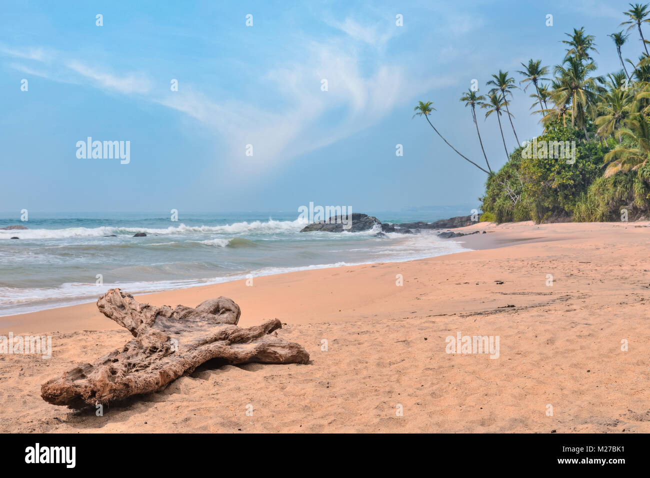 Tropical Palm Tree spiaggia in Dondra, Sri Lanka, Asia Foto Stock