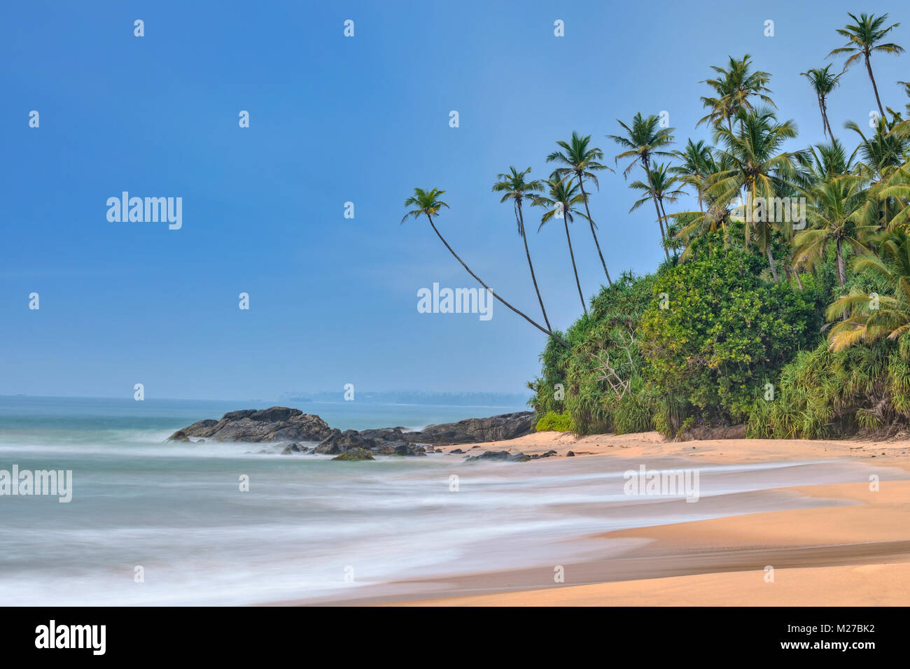 Tropical Palm Tree spiaggia in Dondra, Sri Lanka, Asia Foto Stock