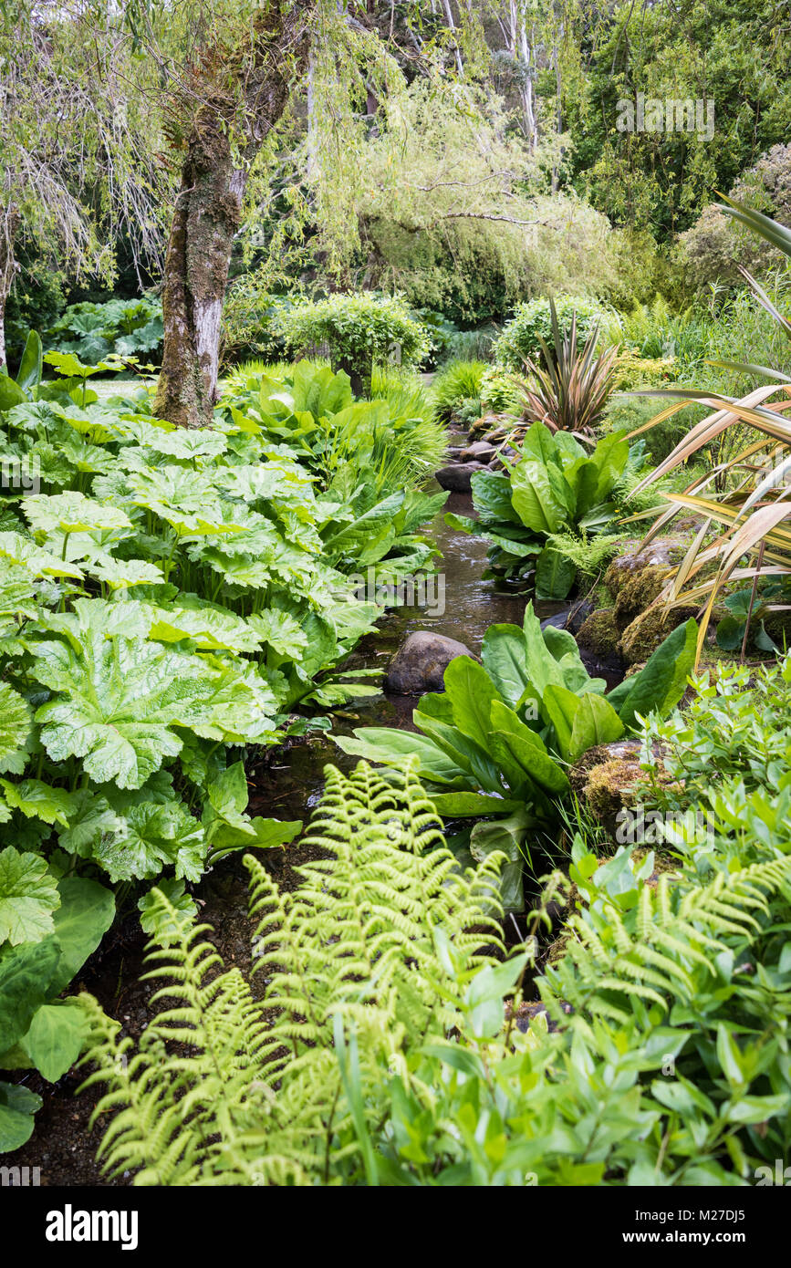 I giardini di Muckross, Ring of Kerry, Irlanda Foto Stock