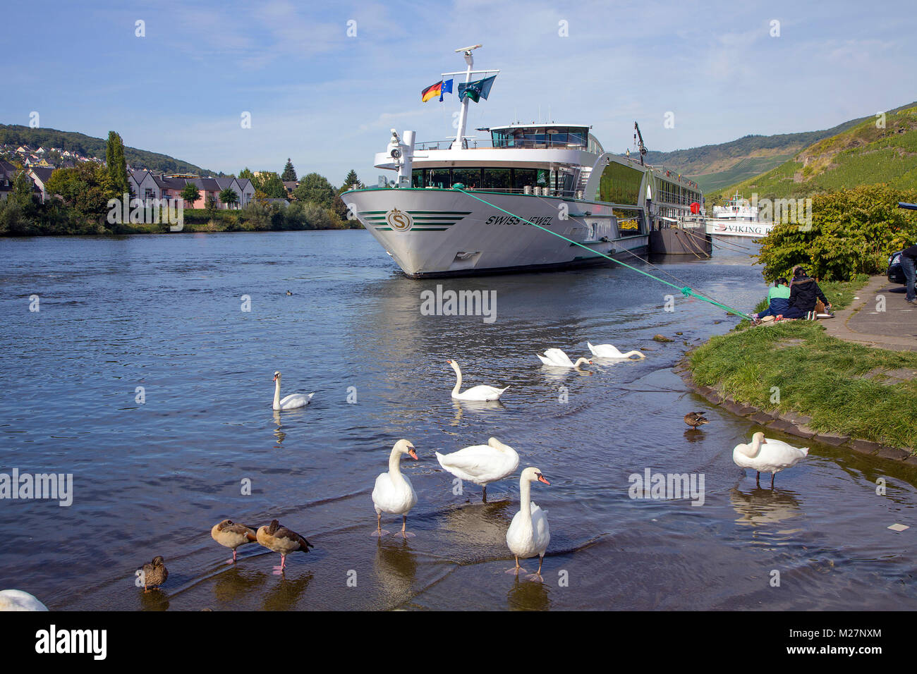 Crociera sul Fiume nave 'Swiss Gioiello' e cigni al villaggio del vino Bernkastel-Kues, Mosella, Renania-Palatinato, Germania, Europa Foto Stock