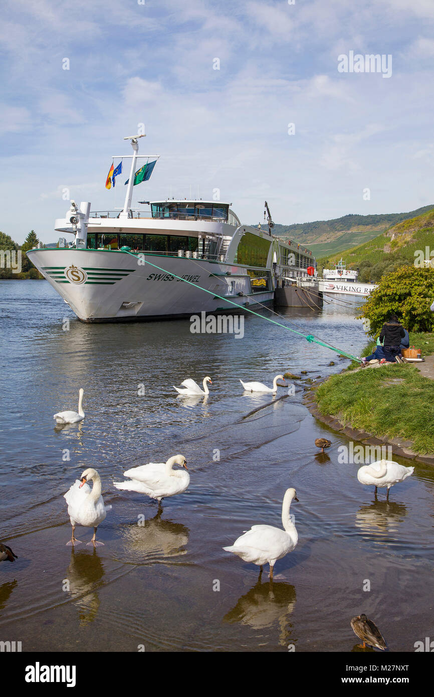 Crociera sul Fiume nave 'Swiss Gioiello' e cigni al villaggio del vino Bernkastel-Kues, Mosella, Renania-Palatinato, Germania, Europa Foto Stock