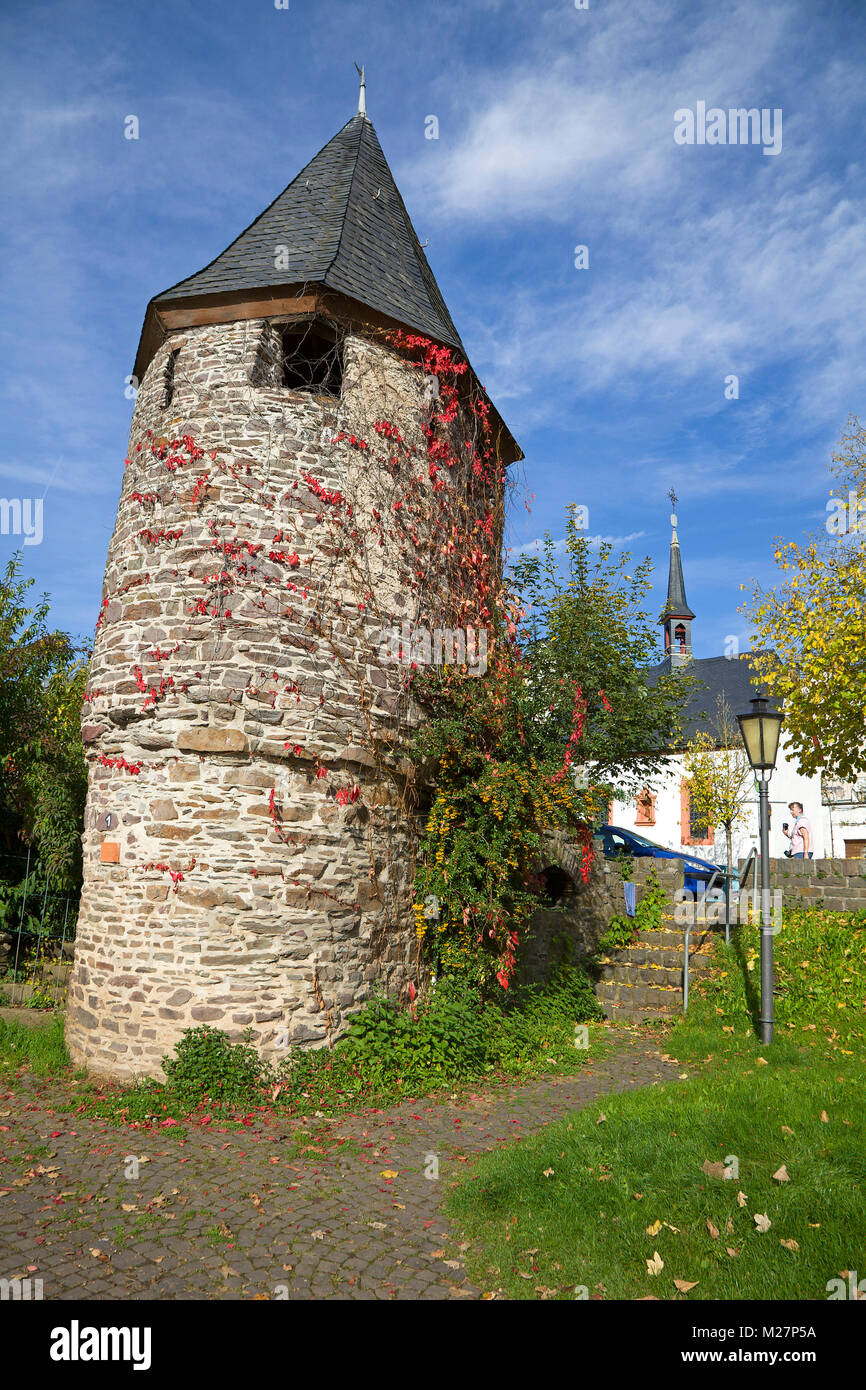 Antica torre di avvistamento medievale con colorato di foglie di vite al Riverside, Ediger-Eller, Mosella, Renania-Palatinato, Germania, Europa Foto Stock