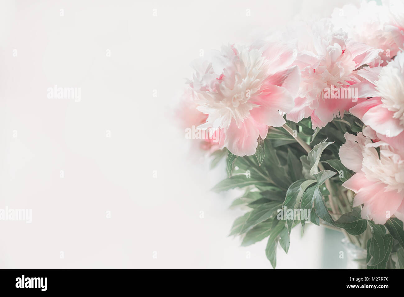 Pastel rosa bianco le peonie a sfondo chiaro. Soft focus. Bordo floreale o il layout Foto Stock