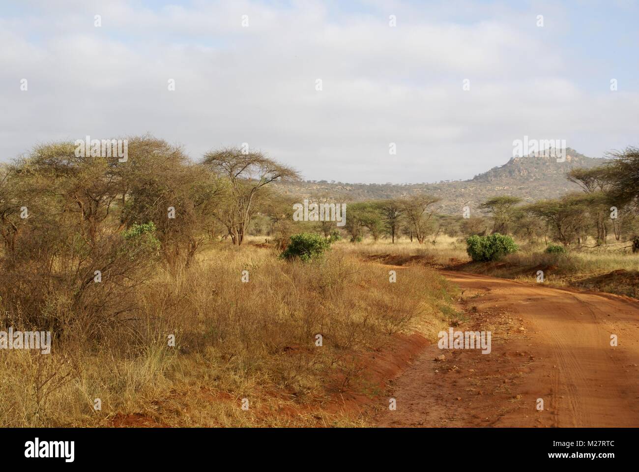 Il paesaggio del Kenia Sudafrica Foto Stock